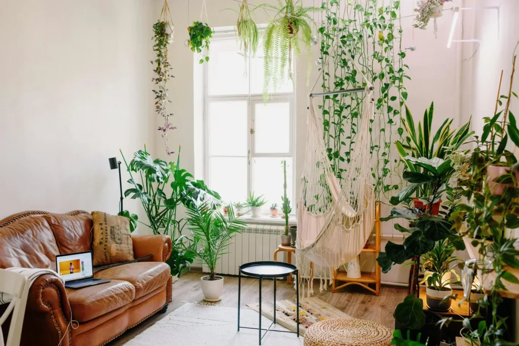 indoor plants organized home natural decor cozy minimalist living.webp plantas de interior organizadas decoração natural estilo minimalista e aconchegante seguindo as  as dicas para deixar a casa mais leve e agradável: organização, conforto e bem estar no dia a dia
